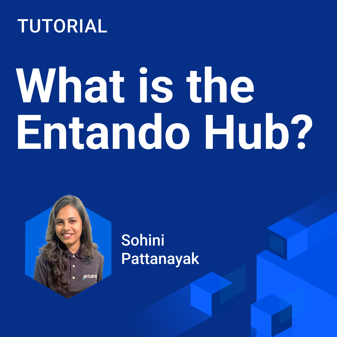 What is the Entando Hub_.png